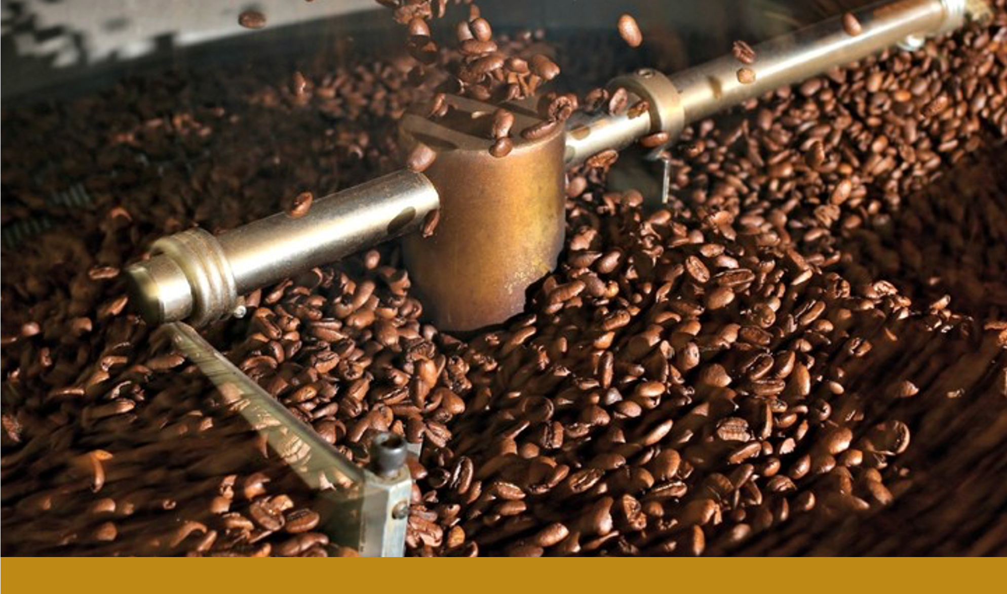 Why Does Coffee Taste So Good?