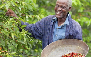 Kenya Mungu Akubariki -Medium Roast