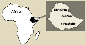Ethiopia Yirgacheffe Natural